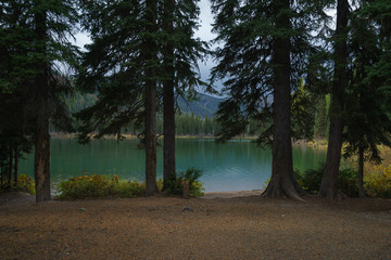 A Montana Landscape