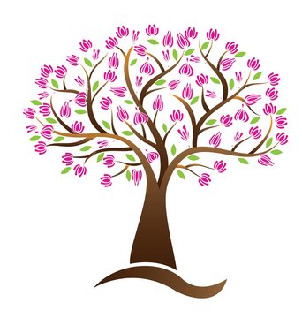 Cherry blossom tree vector logo image