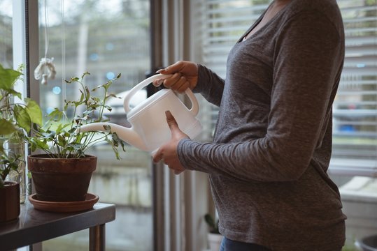 Young pregnant woman watering the plants at home