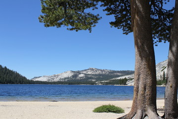 Lake in Yosemite mountains