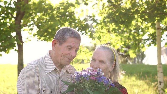 An elderly couple eighty years walking together in the summer Park on the grass. Old grandma and grandpa walk in the Park, slow mo.