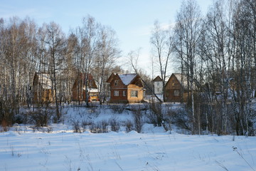Wooden houses, among the birch forest. The holiday camp, which is empty in winter.
