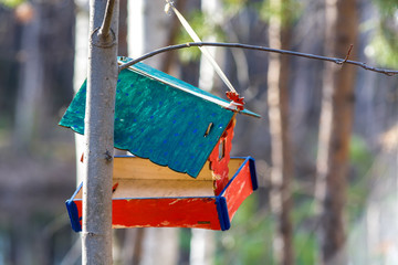 Beautiful feeder for birds and squirrels in the woods
