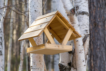 Beautiful feeder for birds and squirrels in the woods