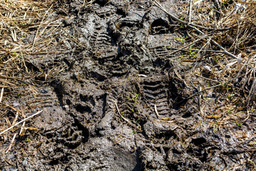 Footprints on a dirt road