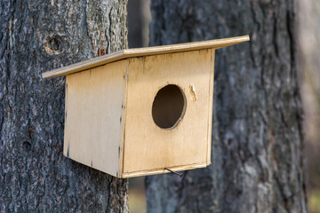Beautiful bird feeder hanging on tree in Park