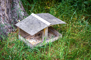 Feeder for birds and squirrels on the ground in park