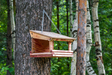 Feeder for birds and squirrels hanging on tree in Park