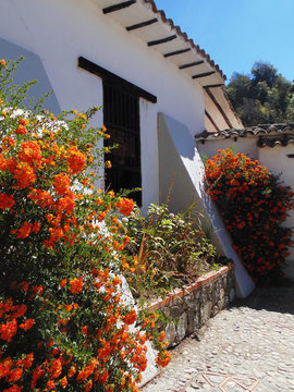 Ventana de casa colonial antigua repleta de flores