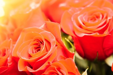 bouquet of red roses