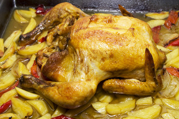 roast chicken with potatoes and peppers