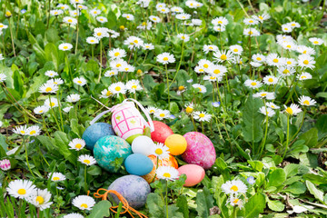 colorful easter egg in the fresh spring meadow, among the daisies