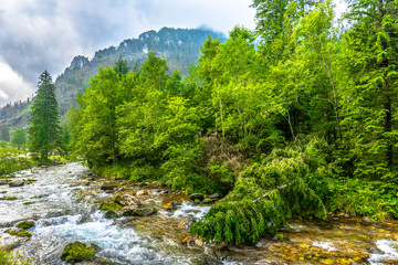 Fototapeta na wymiar Mountain stream in the forest, natural environment in Tatra Mountains, landscape