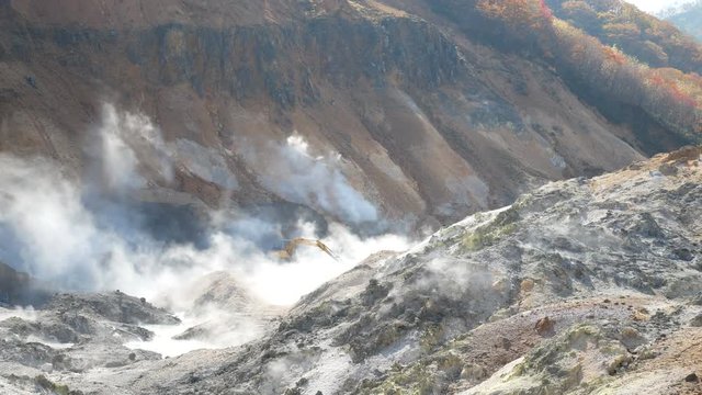 Excavator working in Jigokudani area, smoke of sulfur all around. Jigokudani or Hell Valley in the town of Noboribetsu Onsen, Hokkaido, Japan.