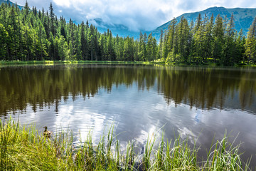 Fototapeta premium Mountain lake in the forest, Tatra Mountains, National Park in Poland, summer landscape