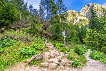 Fototapeta na wymiar Landscape of hiking trail under mount of giewont, Tatra Mountains, Poland