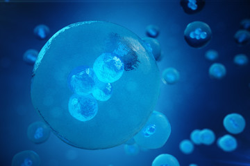 Human or animal cells on blue background. Concept Early stage embryo Medicine scientific concept, Stem cell research and treatment. 3D illustration.