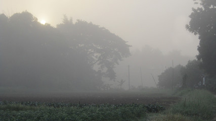 Very misty morning