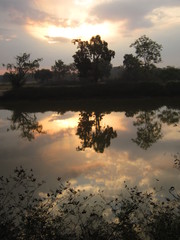 Warm glow of sunrise