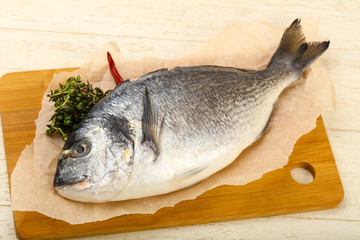 Fototapeta premium raw dorada fish