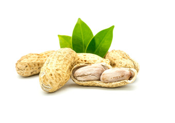 Closeup Many Dried peanuts with green leaf isolated on white background .