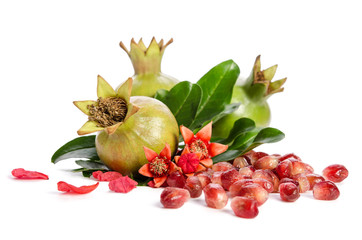 three green pomegranates, seeds and leaves with petals on white background