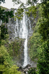 Fototapeta na wymiar Wairere Falls Wasserfall, Waikato, Neuseeland 