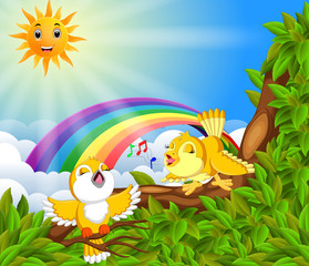many bird on the tree branch with rainbow scene