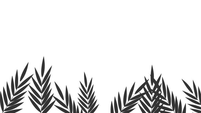  00:04 | 00:20 1&times; Tropical palm leaves animation. Branches and leaves of tropical plants. stock footage. 