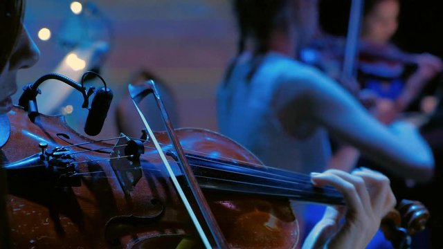 symphonic orchestra cello play in a large hall
