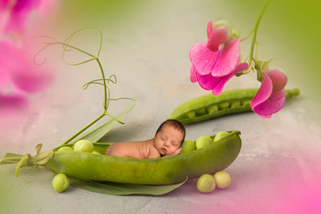 Newborn baby in pea pod