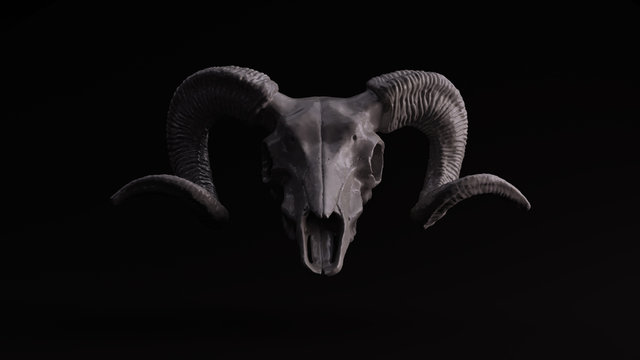Goat Skull Images – Browse 8,162 Stock Photos, Vectors, and Video | Adobe  Stock