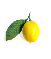 Lemon isolated on white background