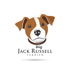 Jack Russell Terrier Head - obrazy, fototapety, plakaty