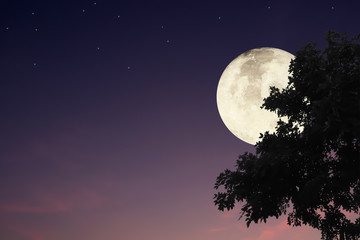 Fototapeta na wymiar Dramatic atmosphere panorama view of beautiful landscape of big tree with super moon and night sky background with clipping path.Image of moon furnished by NASA.
