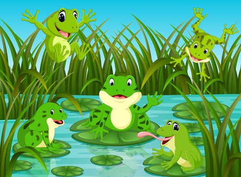 many frogs on leaf with river scene