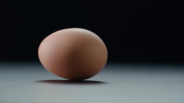 chicken egg spinning on a table in slow motion on a black background
