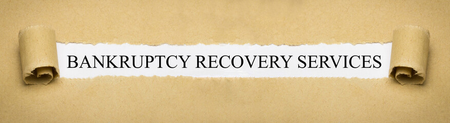 Bankruptcy Recovery Services