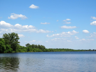 The forest on the blue lake shore