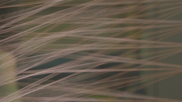 Synthetic Threads Move to Bobbin to Reinforce Tire Macro