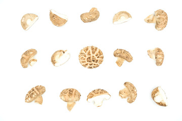 Top view many Mushrooms isolated on white background .