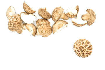 Top view many Mushrooms isolated on white background .