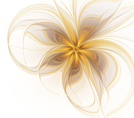 Fototapeta premium Abstract fractal golden flower on a white background