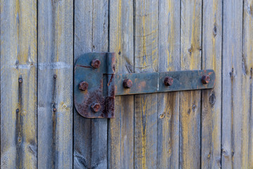 Iron door hinge