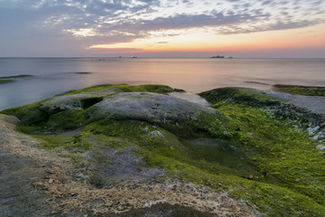 Fototapeta na wymiar Rocks with seaweeds as sunrise against a vibrant yellow and orange cloudy sky
