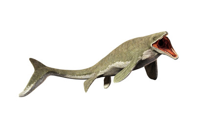 Liopleurodon, extinct giant aquatic lizard (3d illustration isolated on white background)