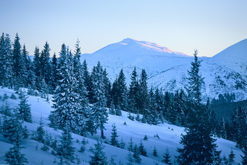 Landscape of mountains and forest in winter. Mountain range at the background.