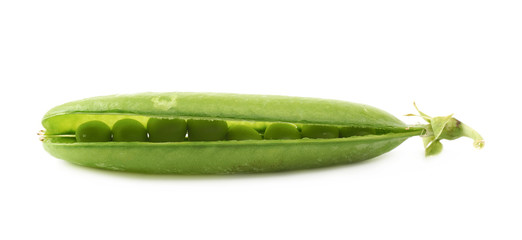 Green pea bean isolated