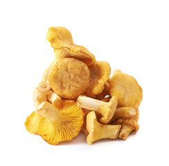 Yellow chanterelle mushroom isolated