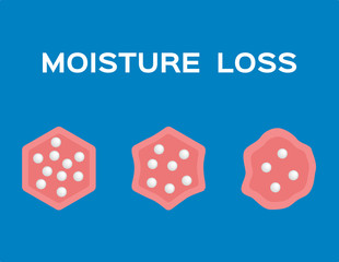 moisture loss in cell vector